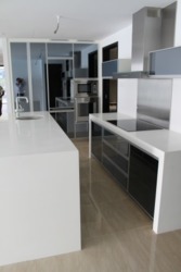 CityVista Residences (D9), Condominium #163097612